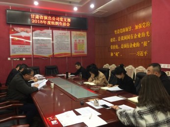 甘肅省演出公司黨支部召開(kāi)2018年度組織生活會(huì)