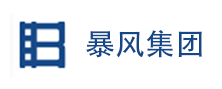 暴風集團